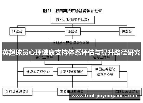 英超球员心理健康支持体系评估与提升路径研究