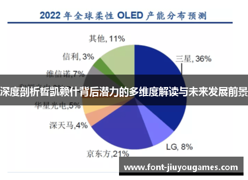 深度剖析哲凯赖什背后潜力的多维度解读与未来发展前景