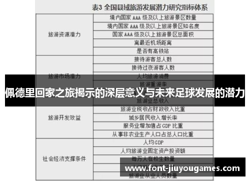 佩德里回家之旅揭示的深层意义与未来足球发展的潜力