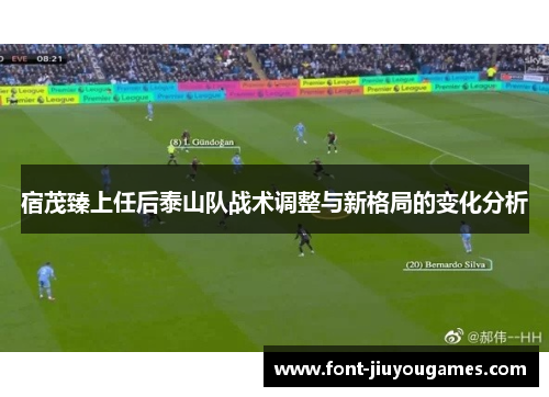 宿茂臻上任后泰山队战术调整与新格局的变化分析