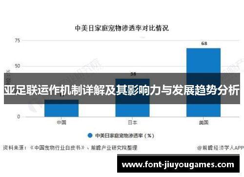 亚足联运作机制详解及其影响力与发展趋势分析